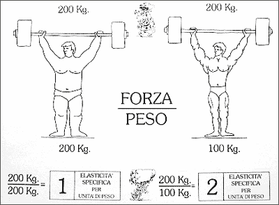 Analogia del sollevatore di pesi: forza diviso peso, elasticità specifica
