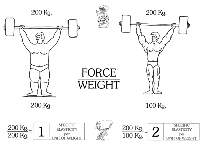 Weightlifter analogy: force divided by weight, specific elasticity